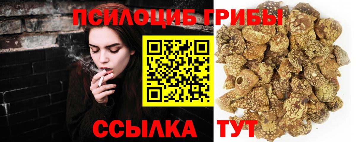 Галлюциногенные грибы Cubensis  Вход с VPN  Топки 